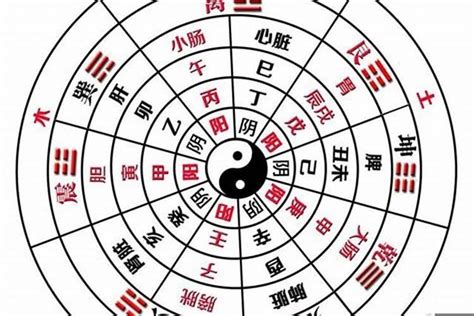 全阳八字|八字全阳算命一般不敢算，命运有何不同？